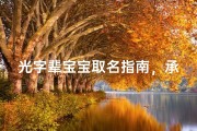 光字辈宝宝取名指南，承载家族荣光的命名艺术