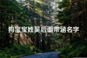 狗宝宝姓吴后面带涵名字(姓吴带涵的女孩名字)