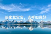 翁家龙宝宝，吉祥如意好名字