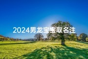 2024男龙宝宝取名注意什么