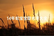 14年蛇宝宝取名字大全(蛇宝宝起什么名字好)