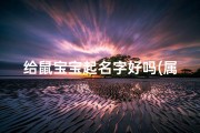 给鼠宝宝起名字好吗(属鼠起名字用什么字最好)