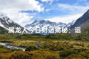 属龙人今日财运揭秘：运势旺旺，财源滚滚