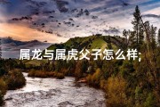属龙与属虎父子怎么样;属龙父虎子，父子情深共闯江湖