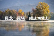 属龙与属猪：能成为挚友的缘分吗？