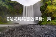 《站龙鸡鸣吉凶详析：揭秘运势奥秘》