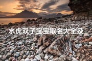 水虎双子宝宝取名大全及寓意—什么叫水虎宝宝