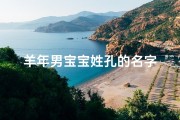 羊年男宝宝姓孔的名字