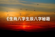 《生肖八字生辰八字秘籍：揭秘命运密码》
