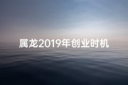属龙2019年创业时机分析