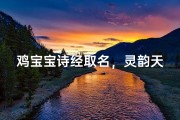 鸡宝宝诗经取名，灵韵天成启祥瑞