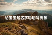 给宝宝起名字聪明吗男孩子取名;《聪明宝宝：为您的儿子挑选最佳名字》