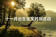 十一月出生宝宝时辰吉凶-十一月出生的宝宝是什么命
