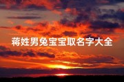 蒋姓男兔宝宝取名字大全(不俗气的蒋氏男孩名字)