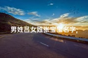 男姓吕女姓张宝宝名字;吕和张怎么取名字