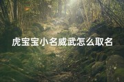 虎宝宝小名威武怎么取名,虎的小名取什么好听
