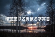 柯宝宝取名男孩名字寓意