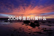 2004年是五行属什么命格;2004年属什么命 五行