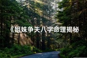 《姐妹争夫八字命理揭秘大全》