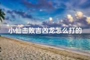 小仙击败吉凶龙怎么打的_《小仙勇战吉凶龙：绝杀秘籍大揭秘》