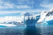 属鼠可以用睿字吗—《鼠宝宝取名巧用瑞字，寓意吉祥美好》