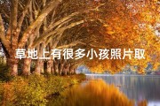 草地上有很多小孩照片取名_草地上的小孩