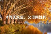 《何氏双宝：父母同姓何宝宝取名新风尚》