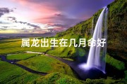 属龙出生在几月命好