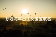 孙姓龙年出生女宝宝取名