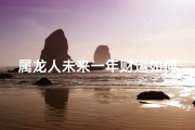 属龙人未来一年财运如何,属龙未来十年财运