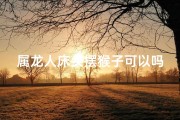 属龙人床头摆猴子可以吗