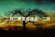 二月二哪里有庙会—二月二祈福圣地：探寻神秘寺庙之谜