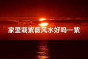 家里栽紫薇风水好吗—紫微花树家居风水：养花还是禁忌？
