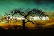 《八字揭秘：男命配偶条件全解析》