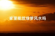 家里能放绿箩风水吗