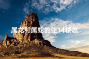 属龙和属蛇的住14楼怎样