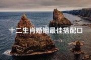 十二生肖婚姻最佳搭配口诀-《十二生肖婚姻吉凶图解大全揭秘》