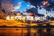 属龙人今年换工作好吗、属龙人明年转型新机遇：开启职业生涯新篇章
