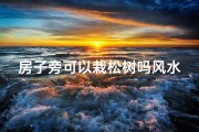 房子旁可以栽松树吗风水