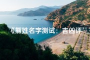 《熊姓名字测试：吉凶评分，揭秘命运密码》