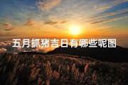 五月抓猪吉日有哪些呢图片(五月抓手什么意思)