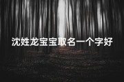 沈姓龙宝宝取名一个字好吗
