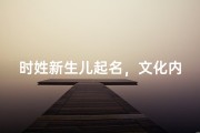 时姓新生儿起名，文化内涵与吉祥寓意解析
