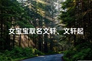女宝宝取名文轩、文轩起名字