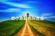 给小孩起名叫苦瓜