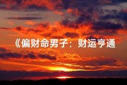 《偏财命男子：财运亨通的人生传奇》