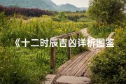 《十二时辰吉凶详析图鉴》
