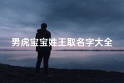 男虎宝宝姓王取名字大全(姓王好听稀少的名字男孩起名)