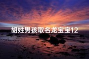 胡姓男孩取名龙宝宝12月