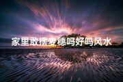家里敢摆麦穗吗好吗风水